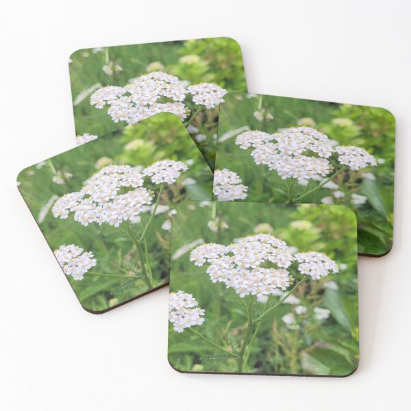 Item preview, a white flower in full bloom designed and sold by Kori-shop.