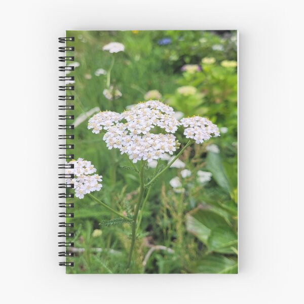 Item preview, a white flower in full bloom designed and sold by Kori-shop.