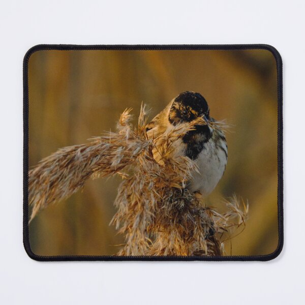 Item preview, A snack at sunset designed and sold by Crimmy.