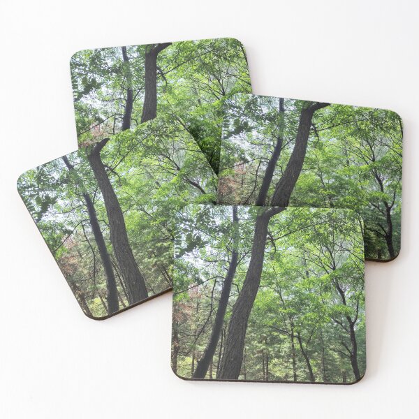 Item preview, a wooded forest designed and sold by Kori-shop.