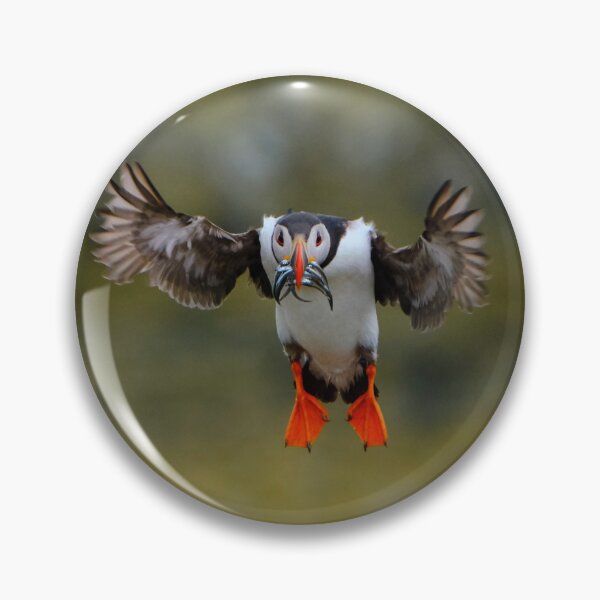 Item preview, Coming in for landing designed and sold by Crimmy.