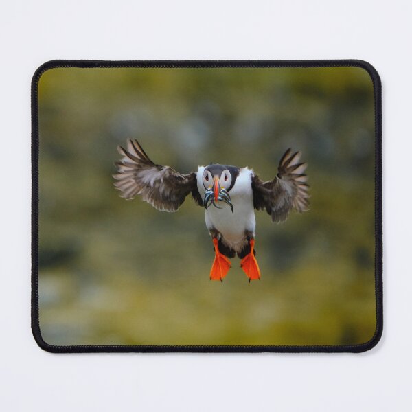 Item preview, Coming in for landing designed and sold by Crimmy.