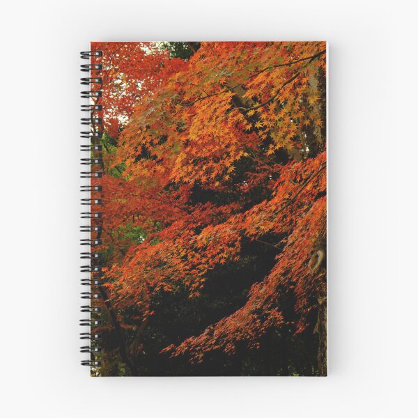 Item preview, Japanese Red Maple in December designed and sold by Crimmy.
