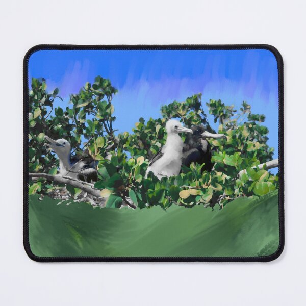 Item preview, Frigate Bird Sanctuary in Barbuda Lagoon designed and sold by Marjorie Jensen.