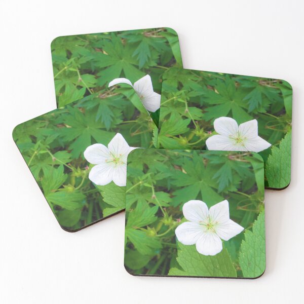 Item preview, Lone Geranium: Single White Geranium Flower designed and sold by CommandoCrane.