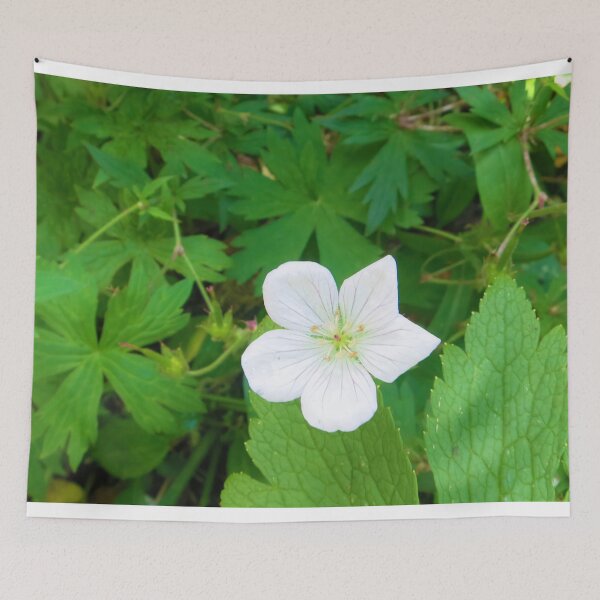 Item preview, Lone Geranium: Single White Geranium Flower designed and sold by CommandoCrane.