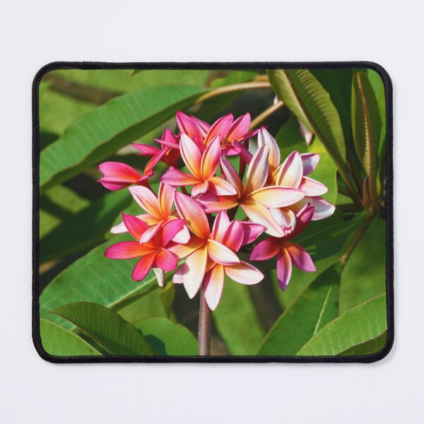 Item preview, Pink Hawaiian Plumeria Flower designed and sold by CommandoCrane.