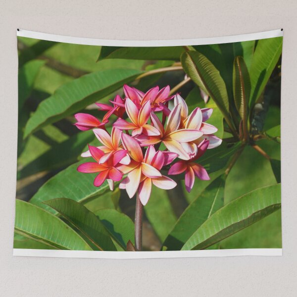 Item preview, Pink Hawaiian Plumeria Flower designed and sold by CommandoCrane.