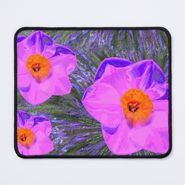 Item preview, Daffodil Violet Colored Trio designed and sold by BostonArcImage.