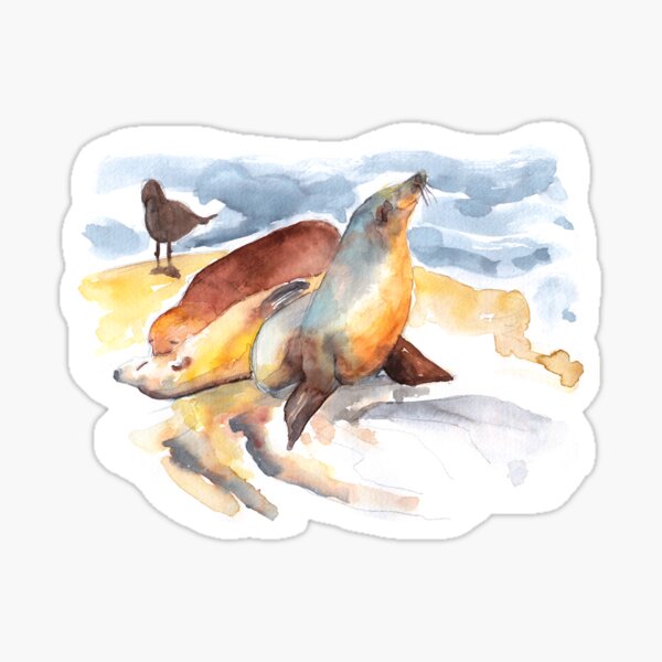 Seals at La Jolla cove - California - watercolors Sticker
