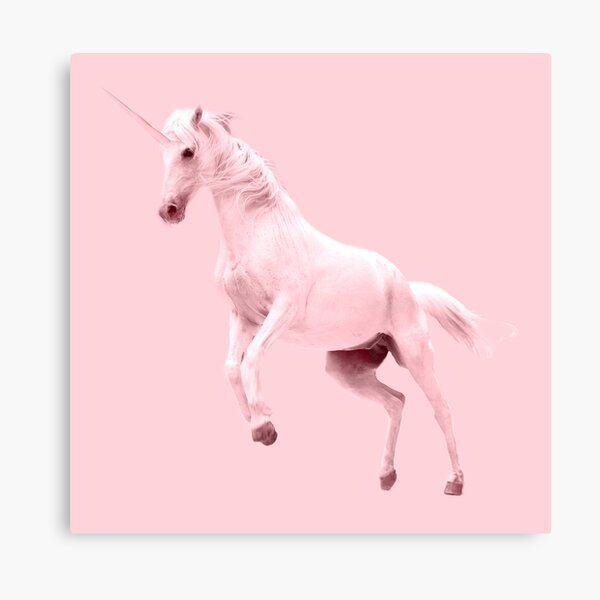 Pink Unicorn by Alice Monber Canvas Print