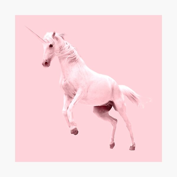 Pink Unicorn by Alice Monber Photographic Print