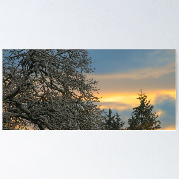 Item preview, Winter morning designed and sold by carpenter777.