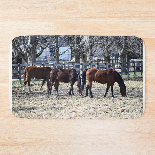 Item preview, Grazing in the Sun designed and sold by SRosuphotos.