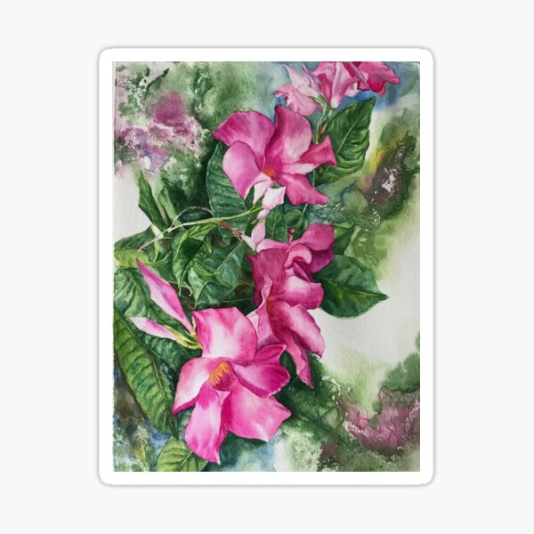 Mandevilla Sticker