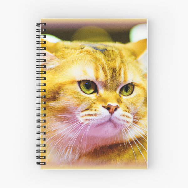 Item preview, Feline Fun Design. Buy Now designed and sold by Health And Fitness Posts e-Store.