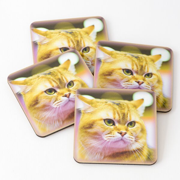 Item preview, Feline Fun Design. Buy Now designed and sold by Health And Fitness Posts e-Store.