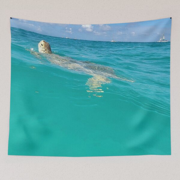 Item preview, Turtle designed and sold by allyciaa.