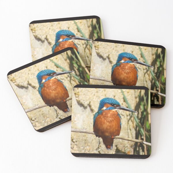 Item preview, A beautiful Male Kingfisher designed and sold by Karen Thomson.