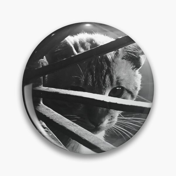 Item preview, fine art portrait of a domestic cat designed and sold by willamsharking.