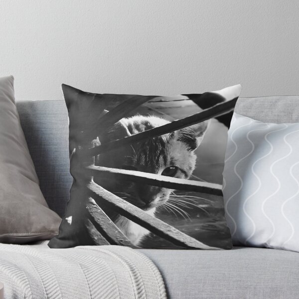 Item preview, fine art portrait of a domestic cat designed and sold by willamsharking.