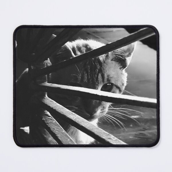 Item preview, fine art portrait of a domestic cat designed and sold by willamsharking.