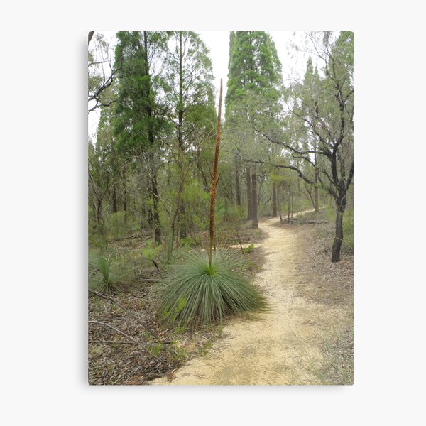 Item preview, Lee's Pinch Walking Track designed and sold by CapturedByKylie.