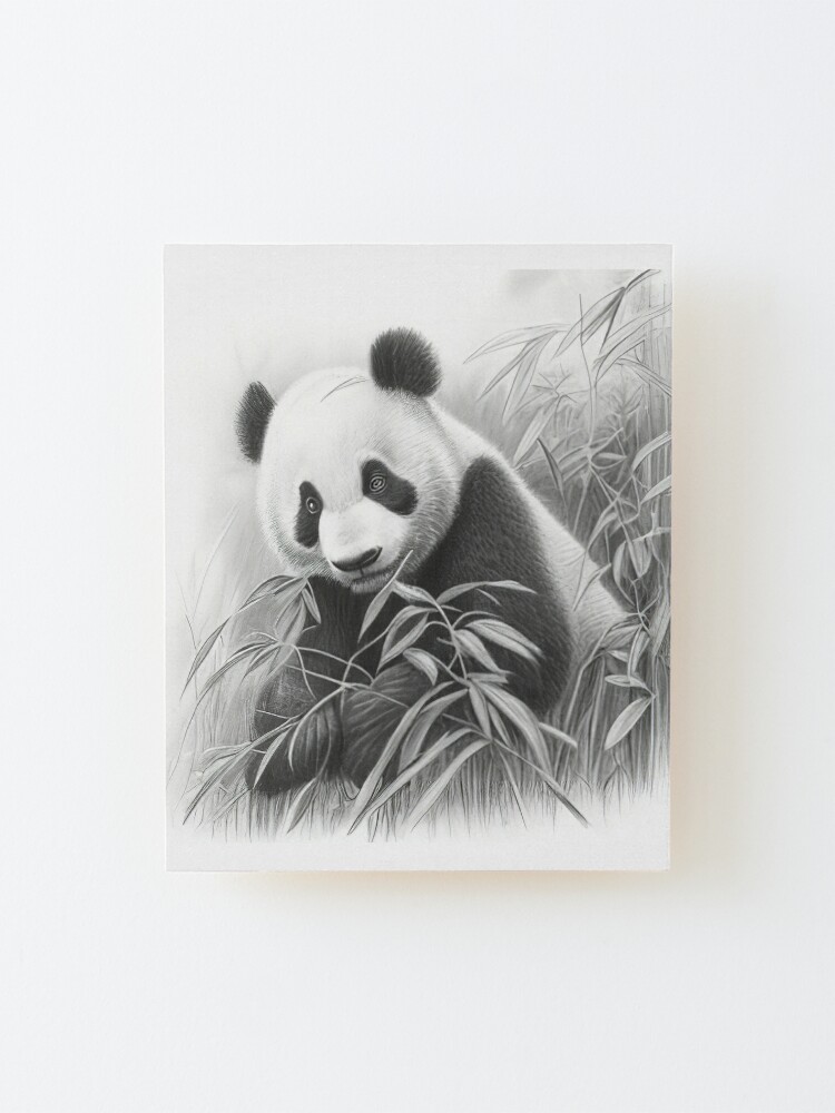 Panda drawings · Sketch a Day