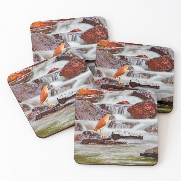 Item preview, Bird on a Rock designed and sold by HSRPhotography.