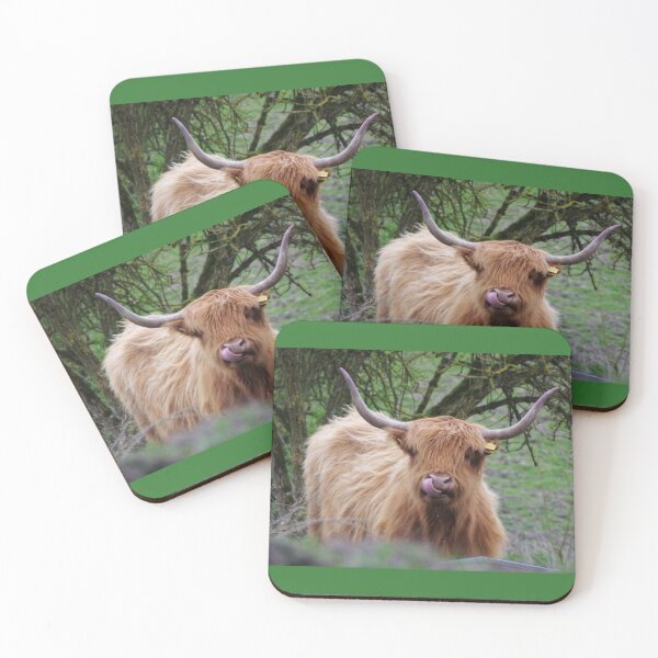 Item preview, Highland Cow IOW designed and sold by Bethany Edgington.