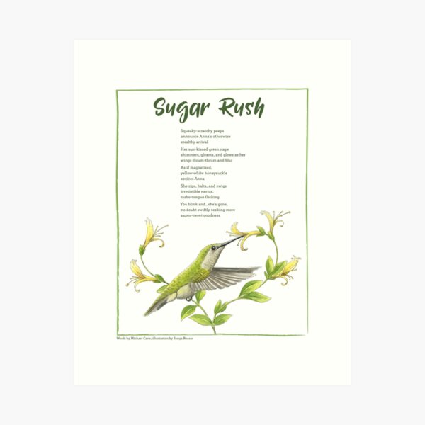 Item preview, Sugar Rush (Anna's Hummingbird Illustrated Poem) designed and sold by WINGSofWONDER.
