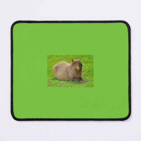 Item preview, Capybara designed and sold by federicousai.