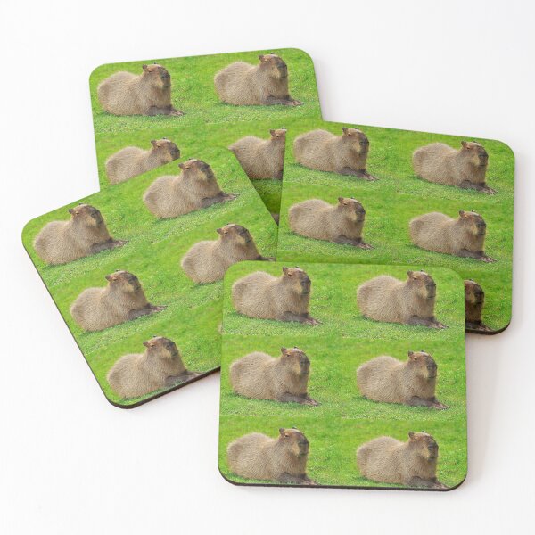 Item preview, Capybara designed and sold by federicousai.