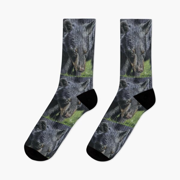 Item preview, canadian black bear designed and sold by NathBros.