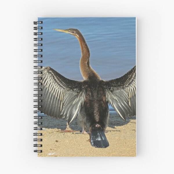 Item preview, Australian Darter designed and sold by Robert Abraham.