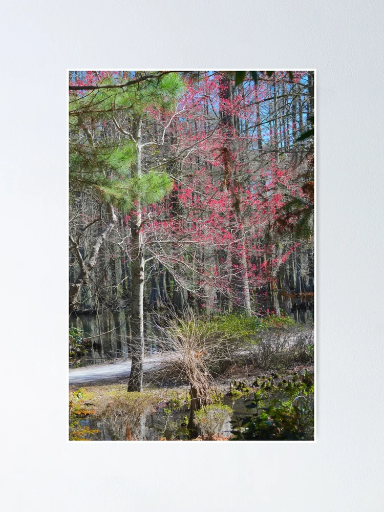 Thumbnail 1 of 3, Poster, Spring! designed and sold by AlixCollins.