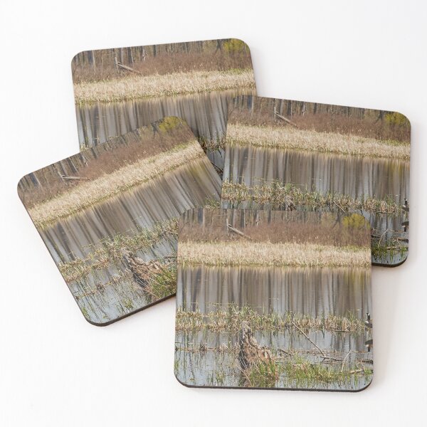 Item preview, Quiet Resting Place for US designed and sold by fototaker Tony.