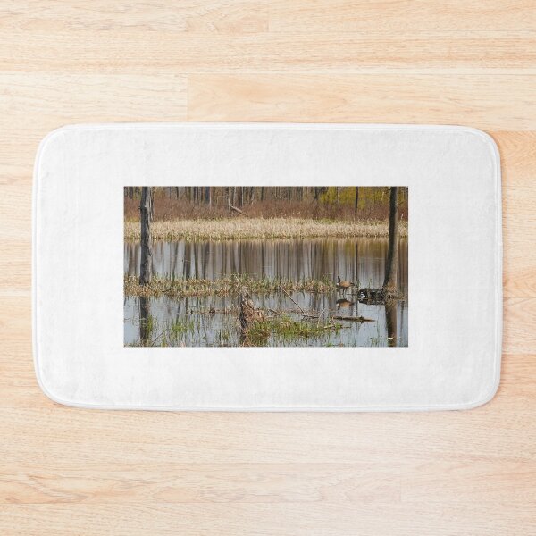 Item preview, Quiet Resting Place for US designed and sold by fototaker Tony.