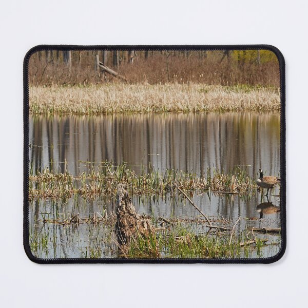 Item preview, Quiet Resting Place for US designed and sold by fototaker Tony.