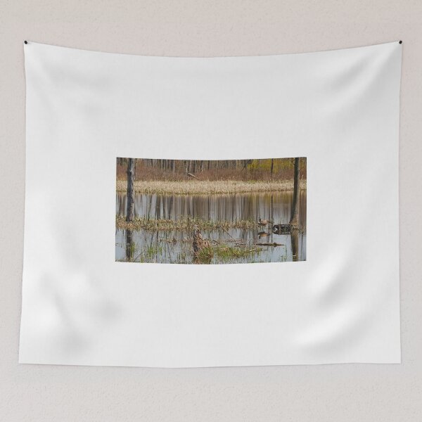 Item preview, Quiet Resting Place for US designed and sold by fototaker Tony.