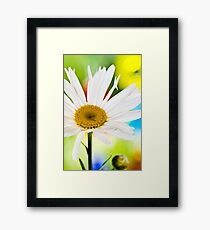 Colour Wheel Framed Print