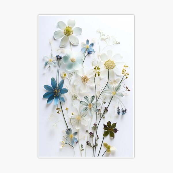 Pressed Flowers: A Captivating Study in Nature&#39;s Artistry - Pressed  Dried flowers on white background Art Print for Sale by EmeraldeaArt