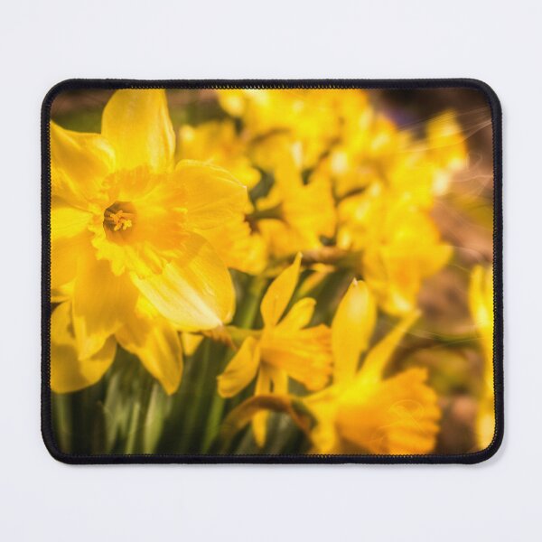 Item preview, Spring Wonder designed and sold by Jim Love.