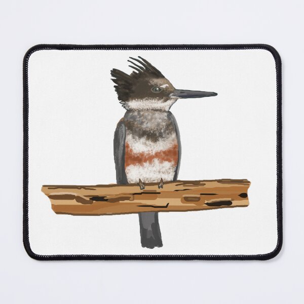 Item preview, Belted Kingfisher female on Branch designed and sold by VerdeDoodleDuck.