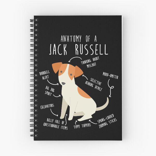 Item preview, Jack Russell Terrier Dog Anatomy designed and sold by Clara Hollins.