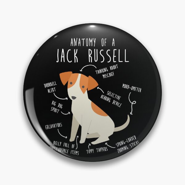 Item preview, Jack Russell Terrier Dog Anatomy designed and sold by Clara Hollins.