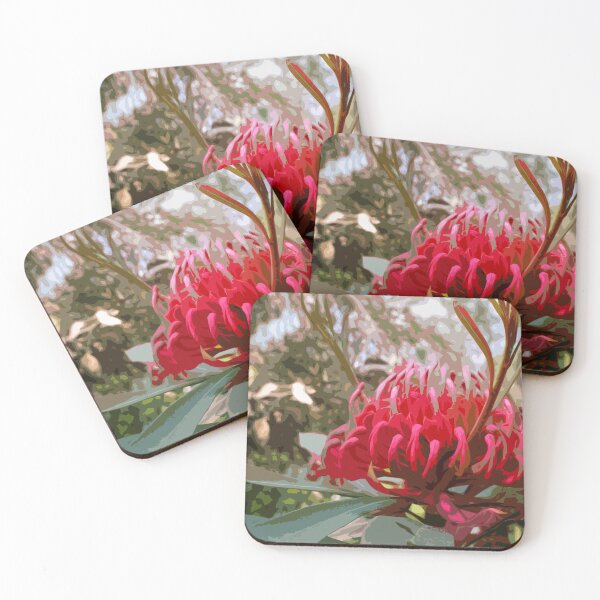 Item preview, Waratah (Telopea), NSW, Australia designed and sold by Cobargo South Coast.