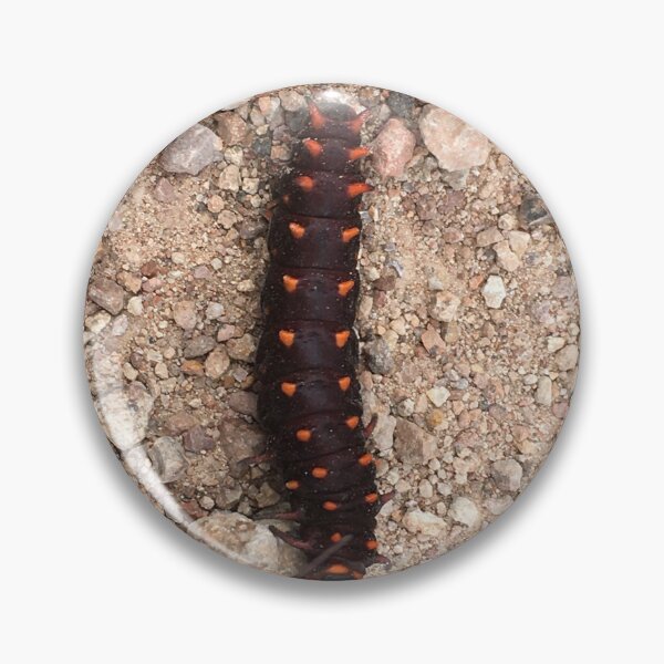 Item preview, Alebrije real caterpillar on stones designed and sold by RDLT.