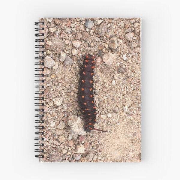Item preview, Alebrije real caterpillar on stones designed and sold by RDLT.
