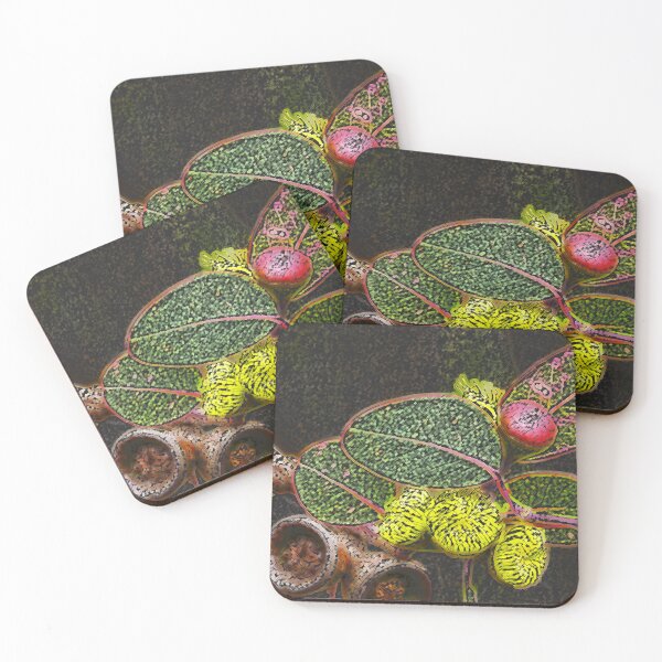 Item preview, Gum Blossom & Gumnuts (Eucalyptus), Bega Valley, Australia designed and sold by Cobargo South Coast.
